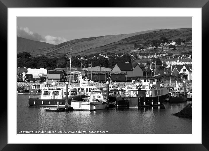 Dingle Harbour   Framed Mounted Print by Aidan Moran