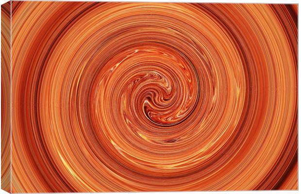 A Swirl of Hair Canvas Print by Donna Collett
