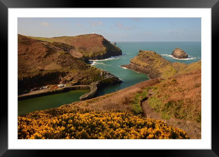 Boscastle, Cornwall Framed Mounted Print by David Neighbour