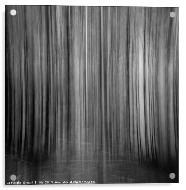 The Forest Curtain Acrylic by mark Smith