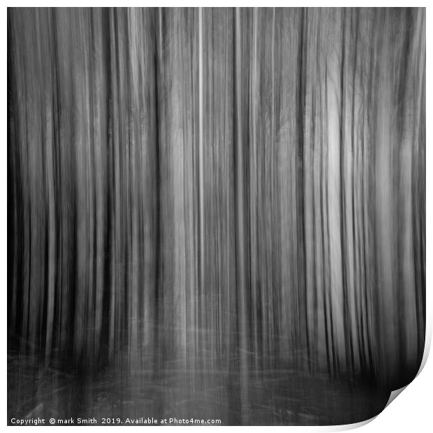 The Forest Curtain Print by mark Smith