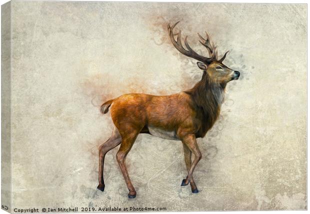 Elk Art Canvas Print by Ian Mitchell