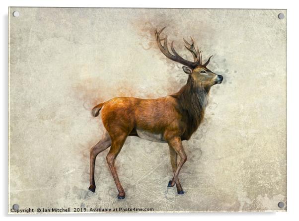 Elk Art Acrylic by Ian Mitchell