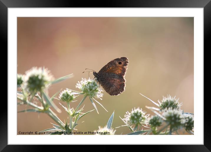 butterfly morning nature scene Framed Mounted Print by goce risteski