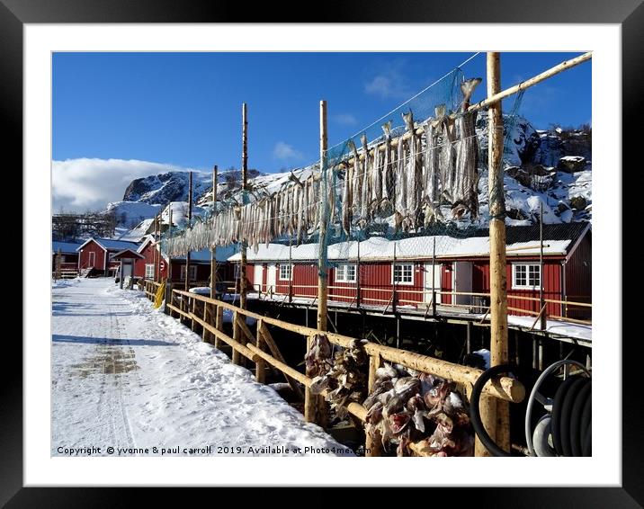 Cod hanging out to dry, Nusfjord, Lofoten Islands Framed Mounted Print by yvonne & paul carroll