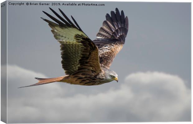 Flying High with a Red Kite Canvas Print by Brian Garner