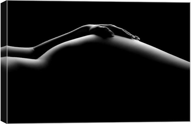 Nude woman bodyscape 19 Canvas Print by Johan Swanepoel