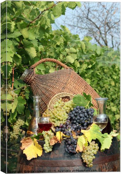 vineyard grape and wine Canvas Print by goce risteski