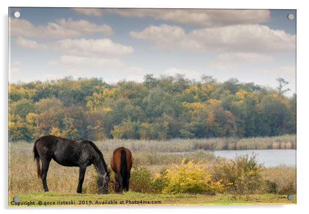 horses on pasture autumn scene Acrylic by goce risteski