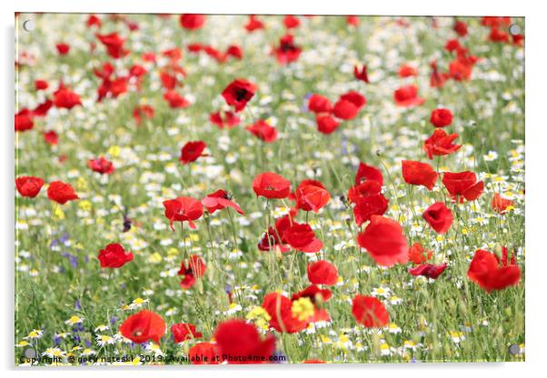 red and white wild flowers spring scene Acrylic by goce risteski