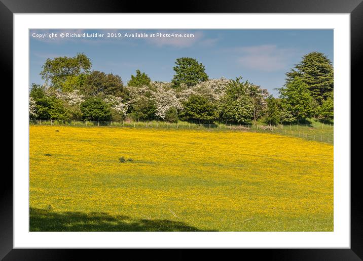Buttercup Meadow Framed Mounted Print by Richard Laidler