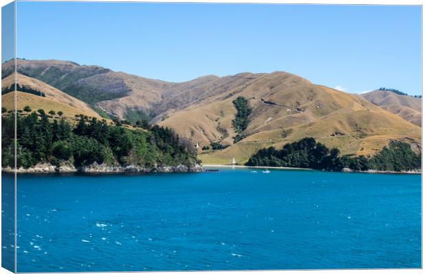 South Island, New Zealand taken from the Cook Stra Canvas Print by Hazel Wright