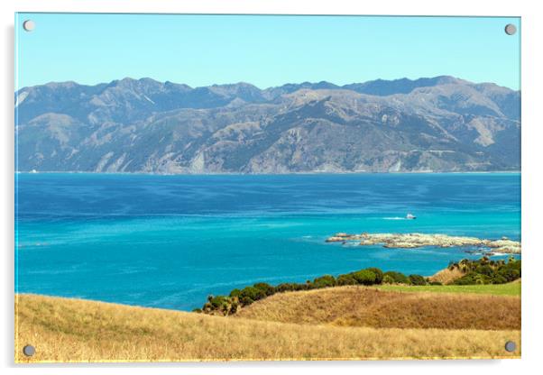 View from Kaikoura Peninsula, New Zealand Acrylic by Hazel Wright