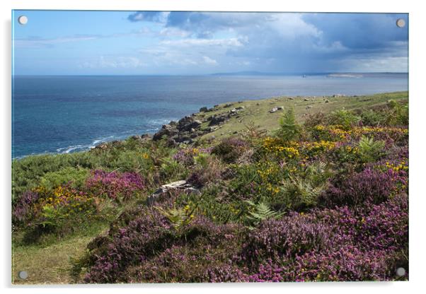 Heather on Cornish Coast Acrylic by Brigitte Whiteing