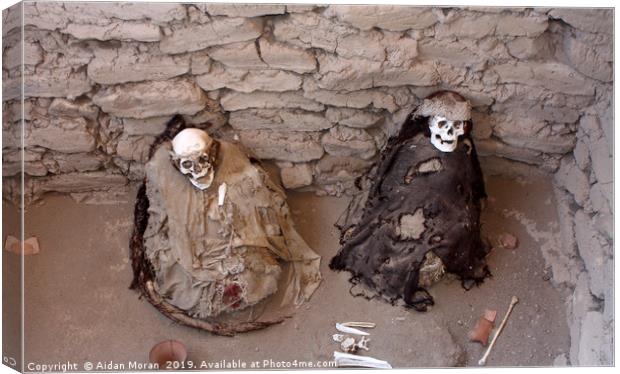 Chauchilla Cemetery Mummies, Nazca   Canvas Print by Aidan Moran