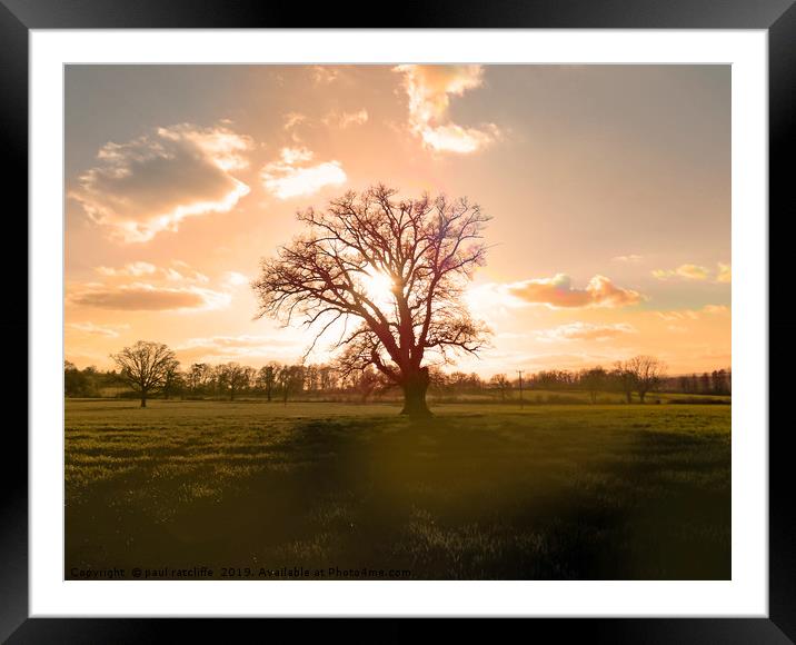 sunset tree herefordshire Framed Mounted Print by paul ratcliffe