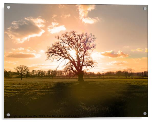 sunset tree herefordshire Acrylic by paul ratcliffe