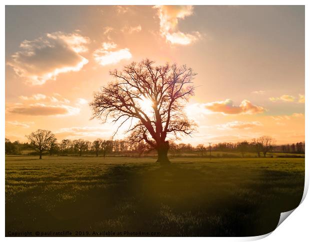 sunset tree herefordshire Print by paul ratcliffe