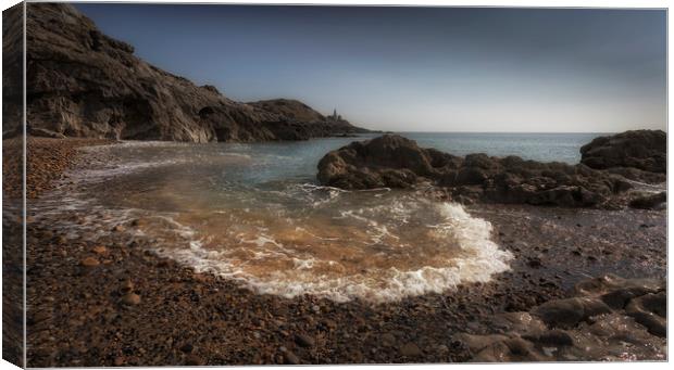Incoming tide at Bracelet Bay Canvas Print by Leighton Collins