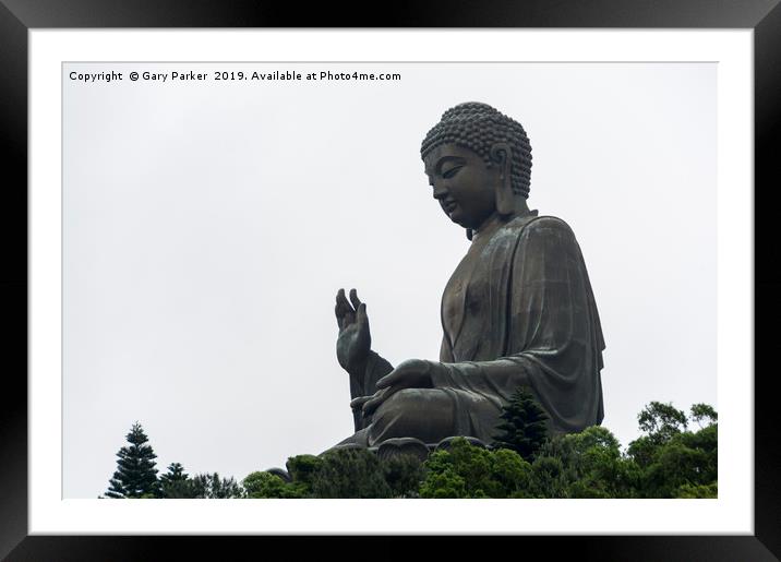 Tian Tan Buddha - world's tallest bronze Buddha Framed Mounted Print by Gary Parker