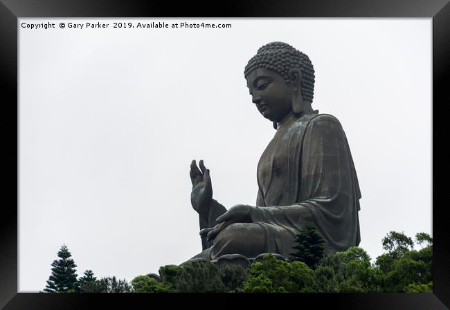 Tian Tan Buddha - world's tallest bronze Buddha Framed Print by Gary Parker
