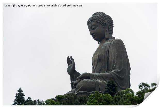 Tian Tan Buddha - world's tallest bronze Buddha Print by Gary Parker
