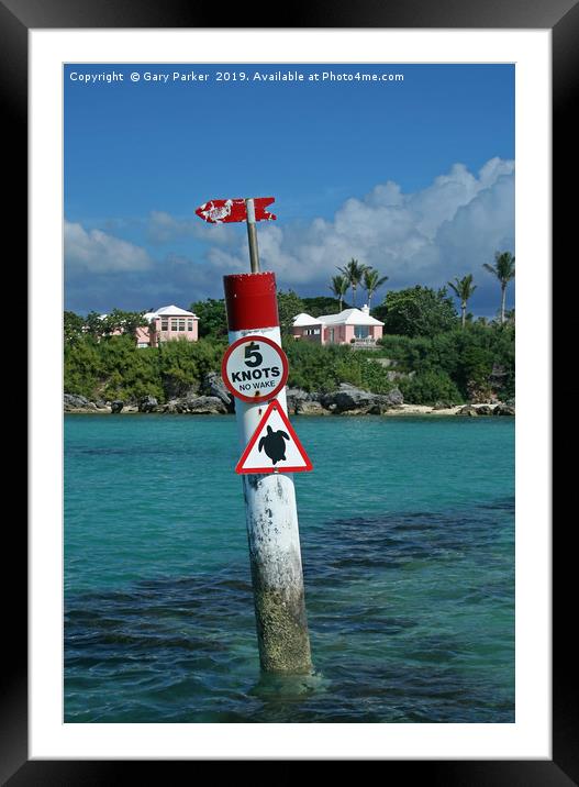 Turtle sign in a tropical sea Framed Mounted Print by Gary Parker