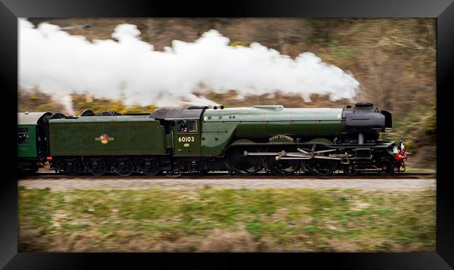 The Flying Scotsman Framed Print by Phil Spalding