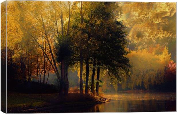 Golden morning  Canvas Print by sylvia scotting
