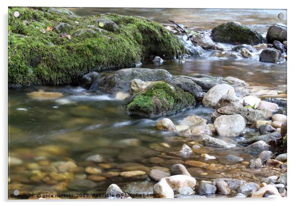 mountain creek spring nature scene Acrylic by goce risteski