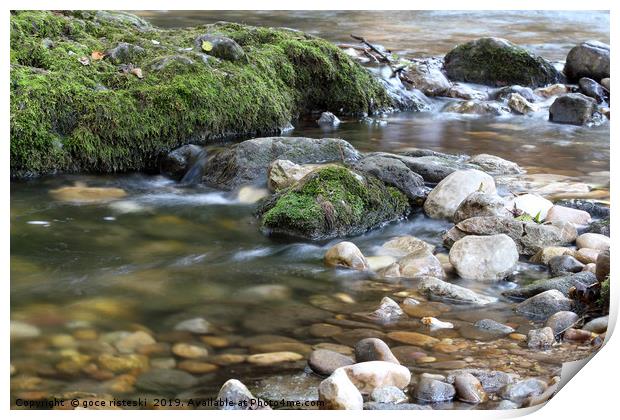 mountain creek spring nature scene Print by goce risteski