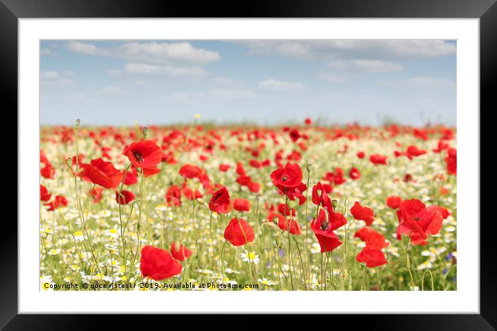 spring meadow with wild flowers Framed Mounted Print by goce risteski