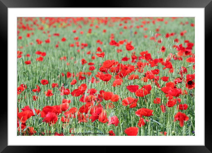 green wheat with poppy flowers Framed Mounted Print by goce risteski