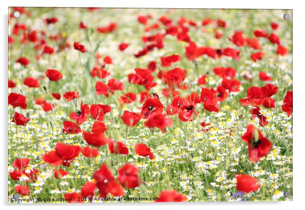 wild flowers meadow spring scene Acrylic by goce risteski