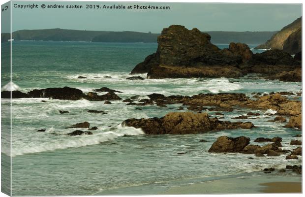 AGNES ROCKS Canvas Print by andrew saxton