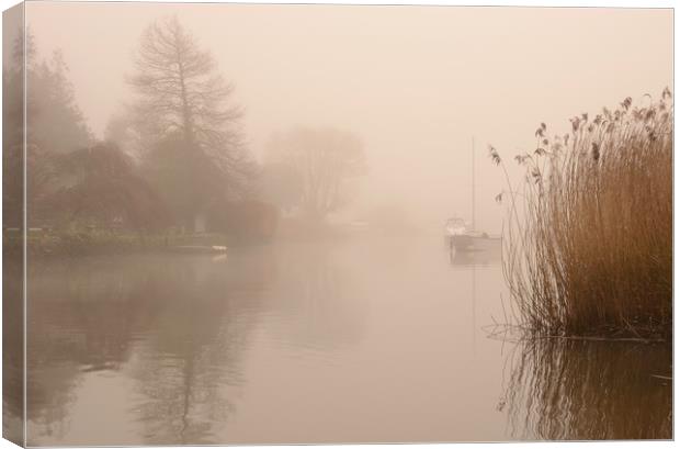 River Frome Mist Canvas Print by David Neighbour