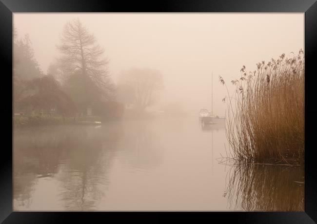 River Frome Mist Framed Print by David Neighbour