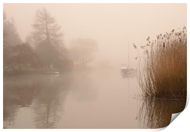 River Frome Mist Print by David Neighbour