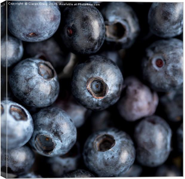 Blueberries  Canvas Print by Ciaran Craig