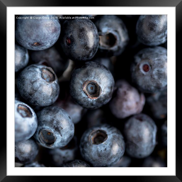 Blueberries  Framed Mounted Print by Ciaran Craig