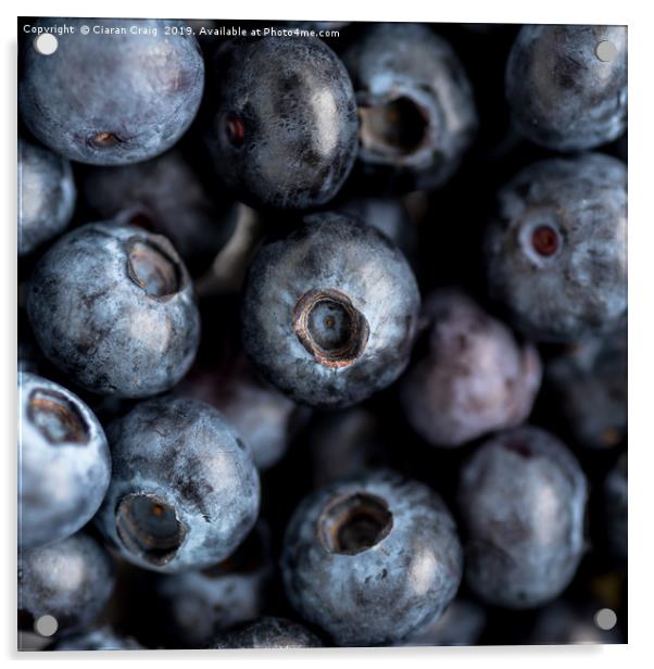 Blueberries  Acrylic by Ciaran Craig