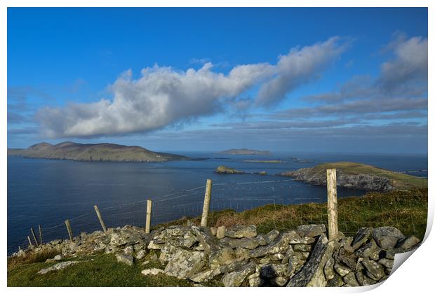 Views over to the Blasket Islands Print by barbara walsh