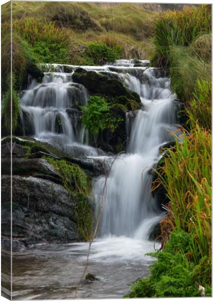 Clogher waterfall Canvas Print by barbara walsh