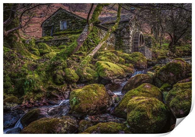 The Old watermill in Borrowdale Print by George Robertson