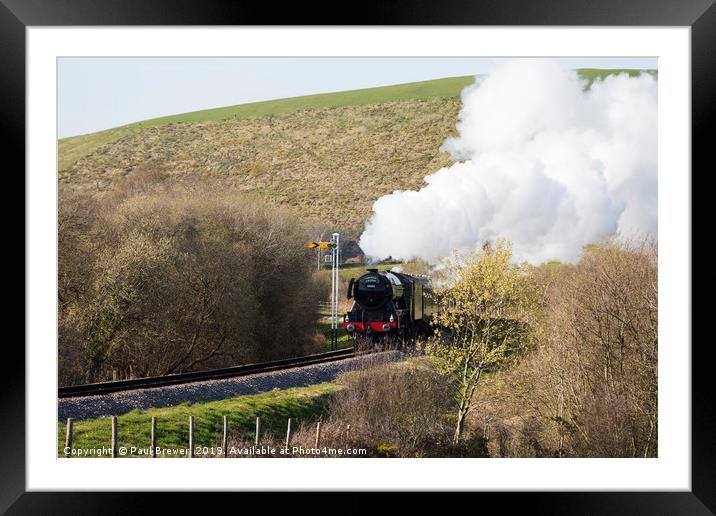 Flying Scotsman Steaming through the Purbecks Framed Mounted Print by Paul Brewer