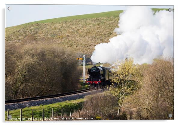 Flying Scotsman Steaming through the Purbecks Acrylic by Paul Brewer