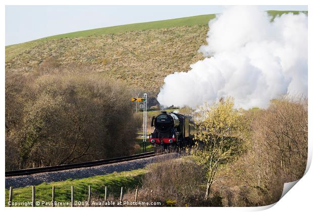 Flying Scotsman Steaming through the Purbecks Print by Paul Brewer