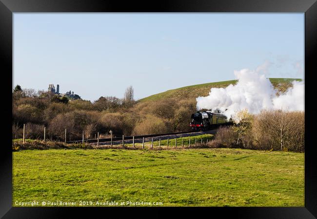 Flying Scotsman passes through the Purbeck Country Framed Print by Paul Brewer