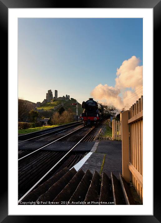Flying Scotsman passes Corfe Castle Framed Mounted Print by Paul Brewer