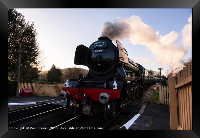 Flying Scotsman At Corfe Castle Framed Print by Paul Brewer